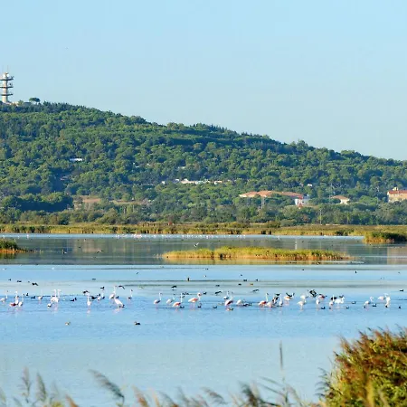 Le Lagon Bleu-3 By Interhome * Agde